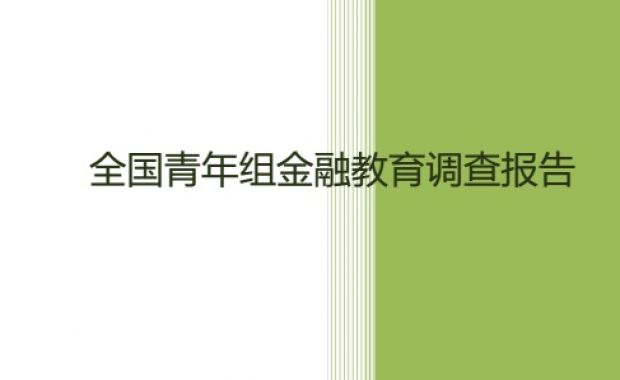 2014年全国青年组金融教育报告