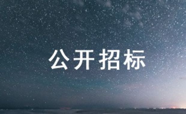 巴克莱青年就业项目（Employability initiative）招标