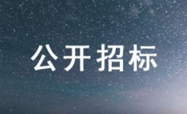 汇丰乡村青少年财经素养教育项目-奇乐小鸡课程工作纸生产招投标