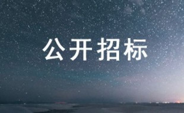 “流动儿童财智成长计划”项目评估公开招标（补充招标）