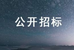 【未来高“财”生】全国青年财经素养教育成长项目招标