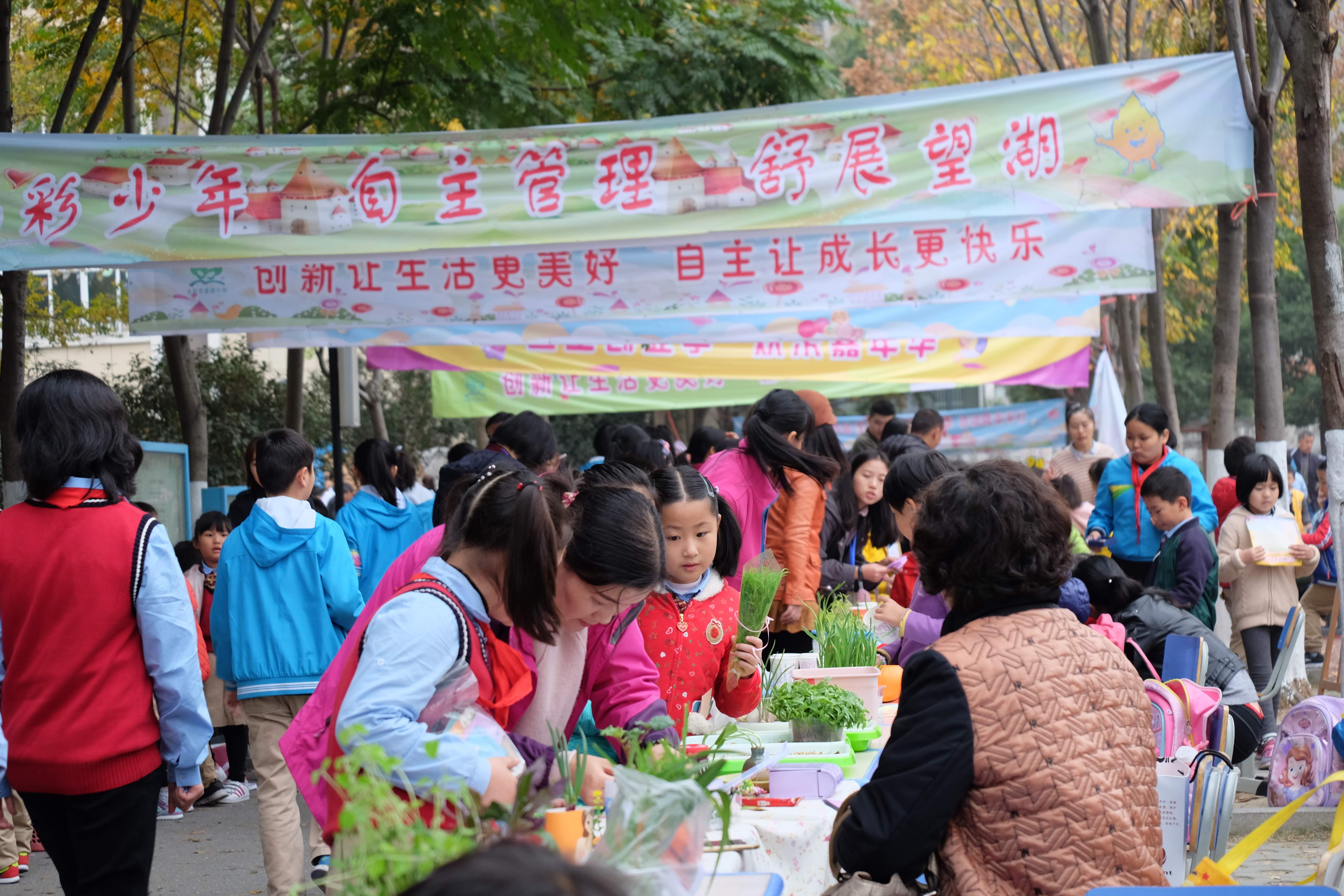 探究式阅读+阿福童集市，财经素养教育在小学校园落地开花